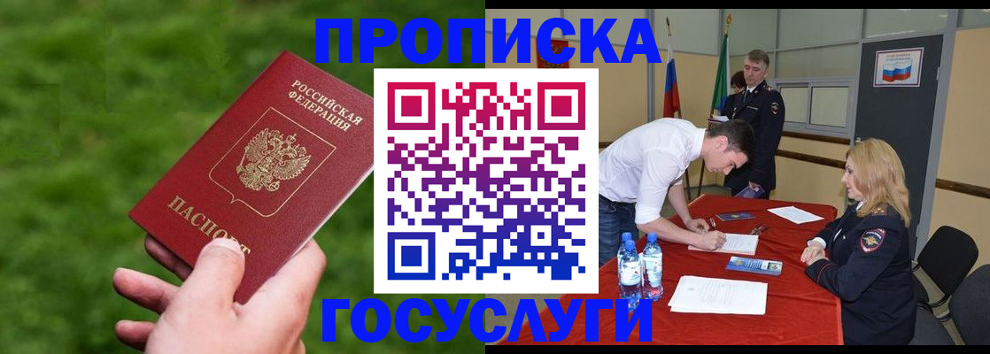 где прописаться в Светлогорске